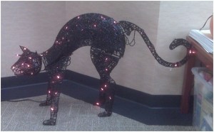 CH Oph - black cat - halloween