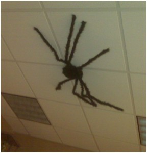 CH Oph - spider web2 -halloween