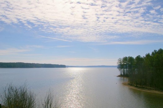 Jordan Lake eutrophication