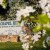 chapel hill welcome sign