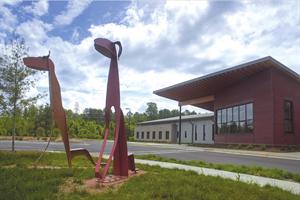 animal services center CH