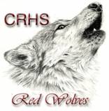 cedar ridge red wolf smaller