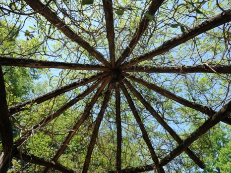 UNC Arboretum (Photo by Dan Sears)